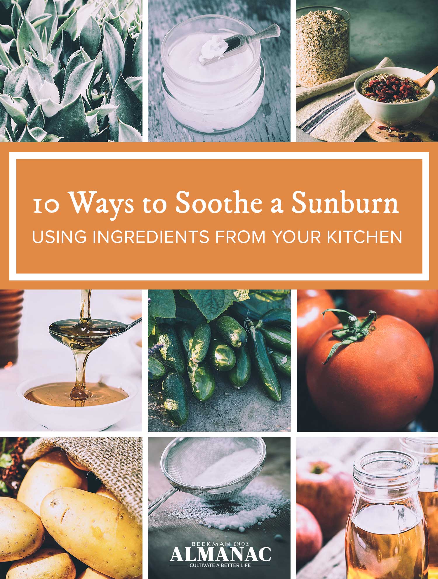 Beekman 1802 - How to Soothe a Sunburn Using Kitchen Ingredients