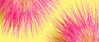 Up close shot of 2 pink Persian Silk Tree Bark leaves on a yellow background.