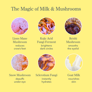 Mushroom Milk Better Aging Eye Cream