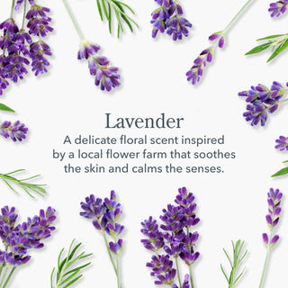 Lavender 3-Pack Of Lip Balms