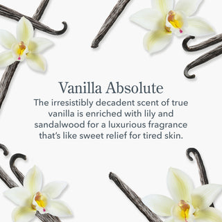 Vanilla Absolute 3-Pack Of Lip Balms