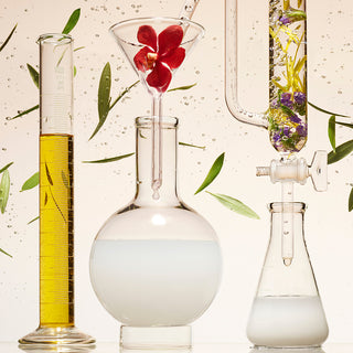 Beakers containing fermented plant oils with leaves against a beige background