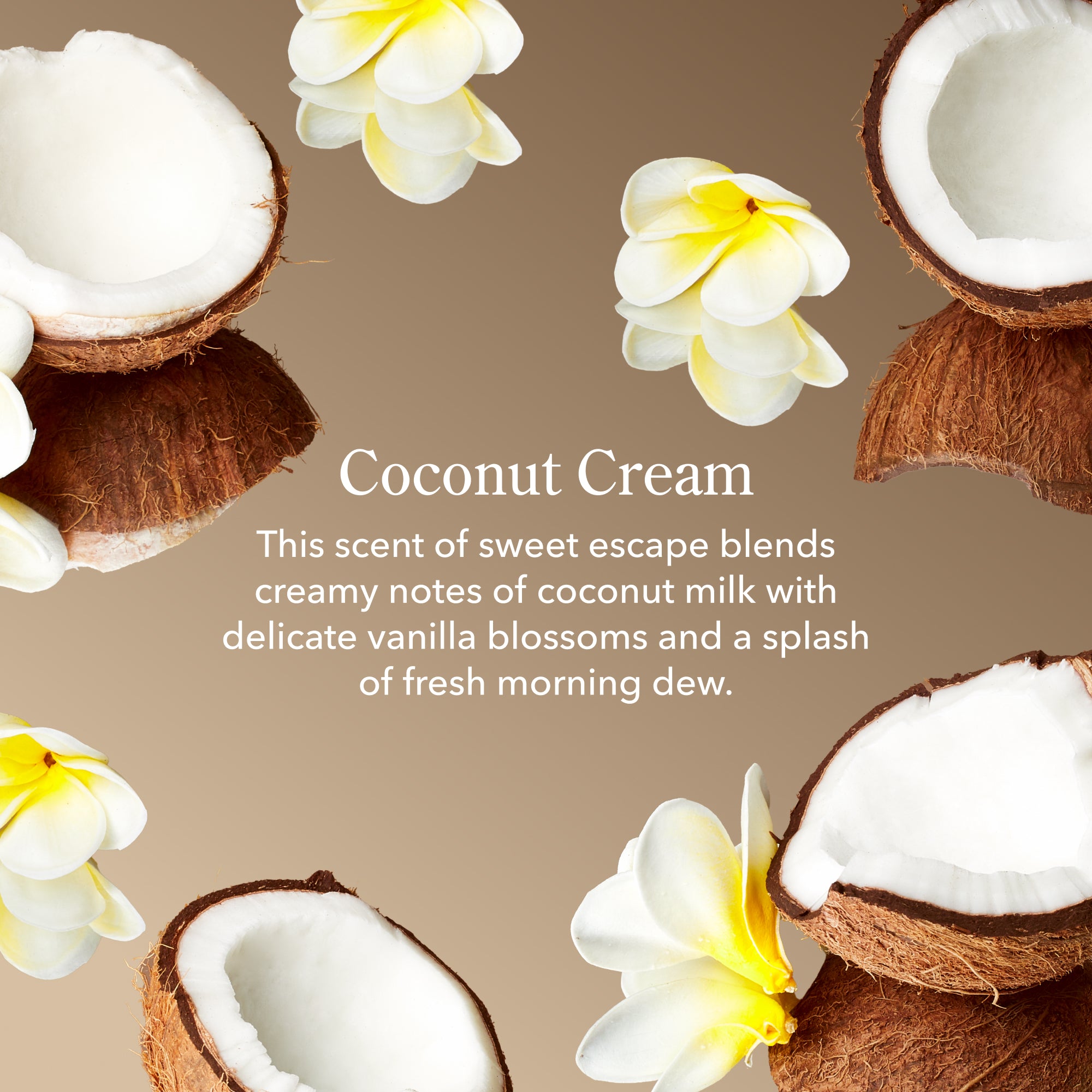 Coconut Cream Hand & Body Wash
