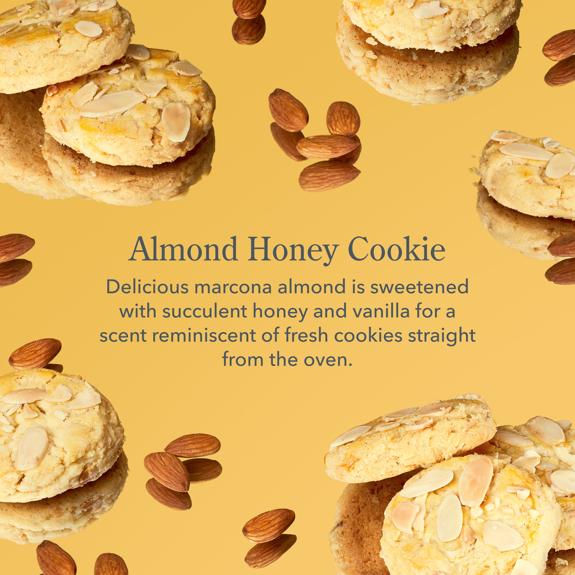 Fresh Baked Bliss Almond Honey Cookie 3-Piece Bodycare Gift Set