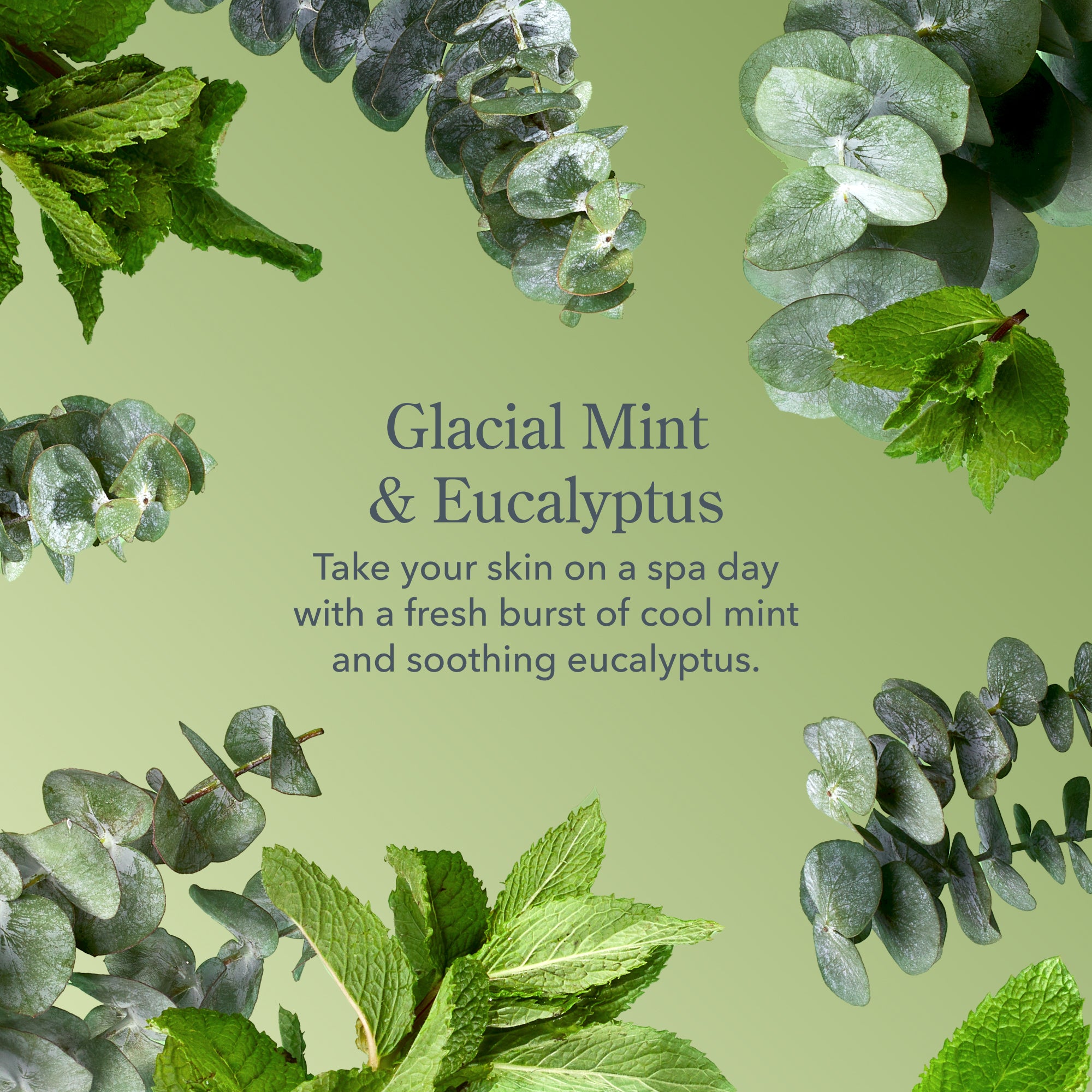 Glacial Mint & Eucalyptus Hand & Body Wash
