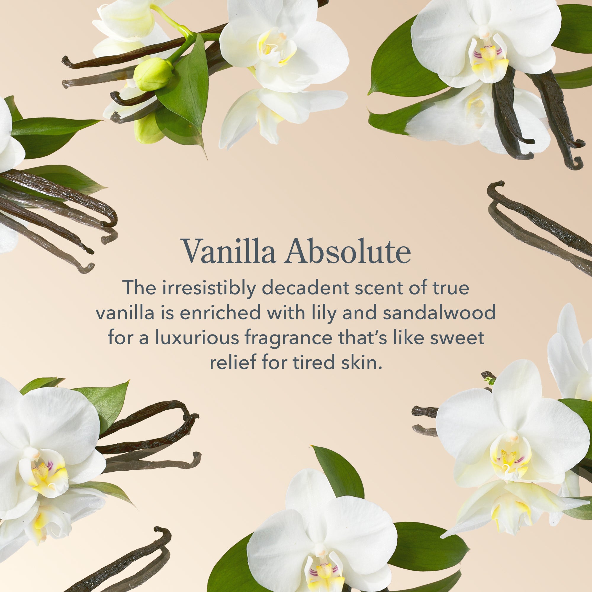 Vanilla Absolute Hand & Body Wash