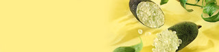 Image of the Caviar lime plant split in half to show the tiny citrus pearls that grow out of them on the far right hand side of the image, surrounded by leaves on a yellow background.