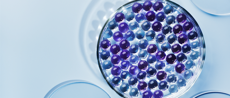 Petri Dish of blue and purple ceramide round gel orbs on a blue background, with shadow behind the dish. 
