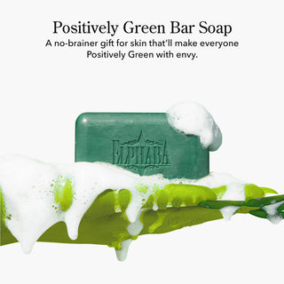 Beekman 1802 x Wicked Positively Green Goat Milk Soap