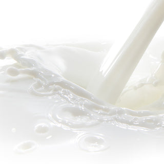 Up-close shot of goat milk being poured against a white background 