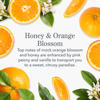 Honey & Orange Blossom Whipped Body Cream Set of 2