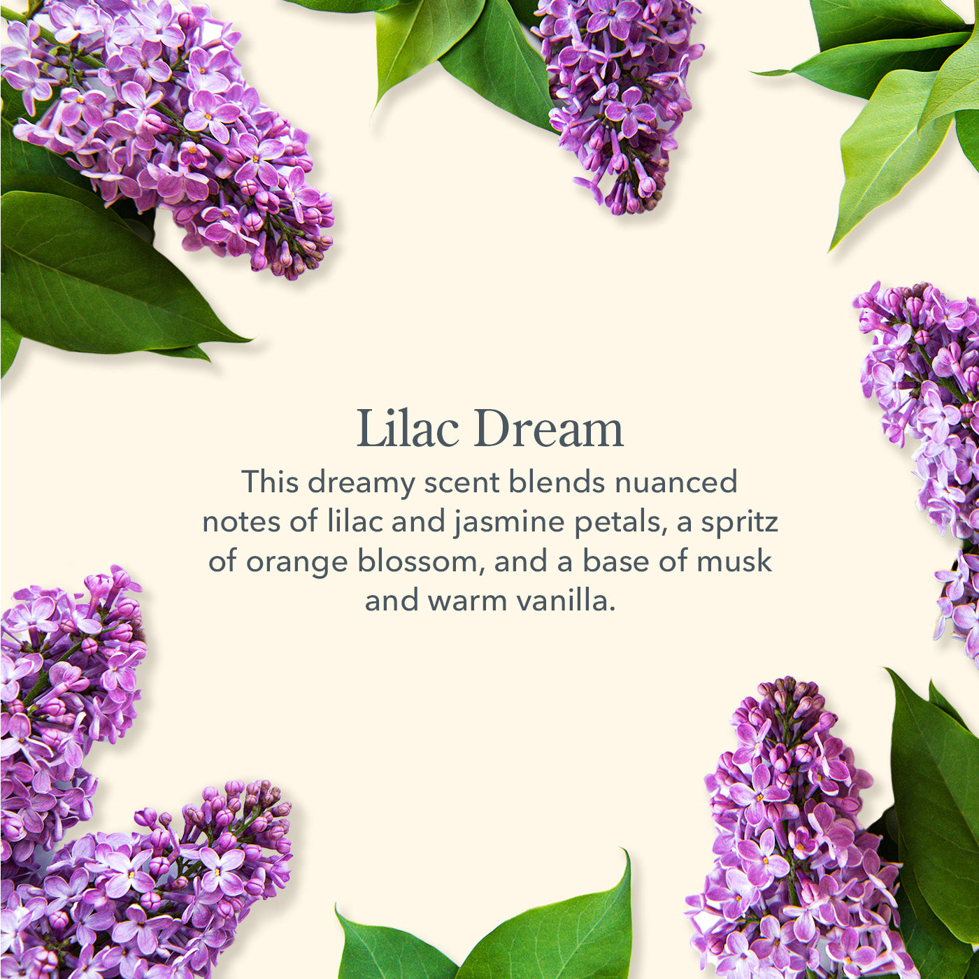 Lilac Dream Hand Body Wash - Main Image