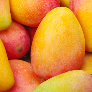 Up close shot of pile of mangoes all together.