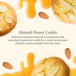 Almond Honey Cookie Lip Balm