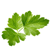 Parsley