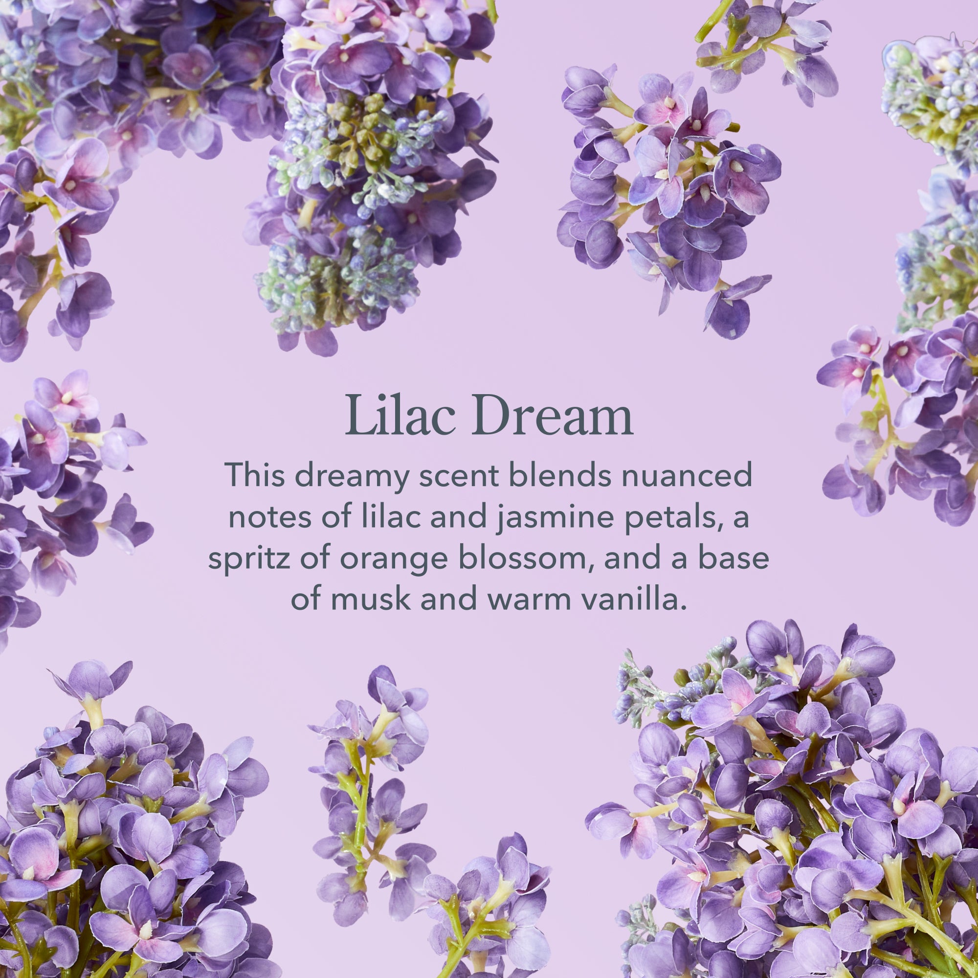 Lilac Dream Hand & Body Wash