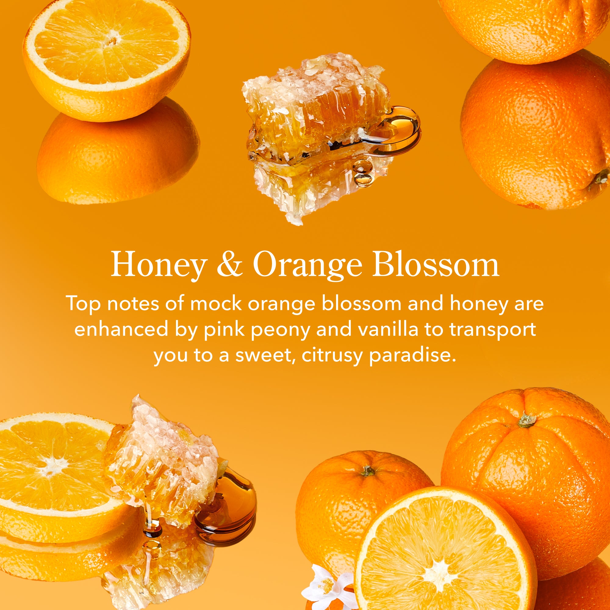 Honey & Orange Blossom Mini Hand Cream Set of 3
