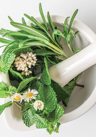 Overhead shot of mortar bowl filled with flowers and green leaves and a pestle sticking out of bowl.