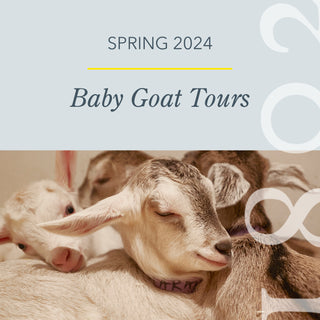 Baby Goat Tours 2024