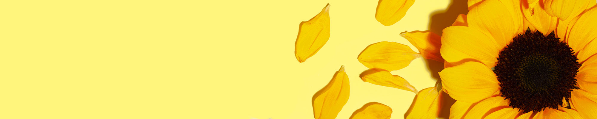 Sunflower Butter Skincare Sunflower Butter Skincare