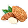 Toasted Almond